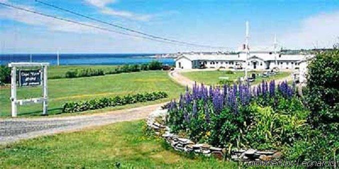Cape View Motel & Cottages Mavilette Eksteriør billede